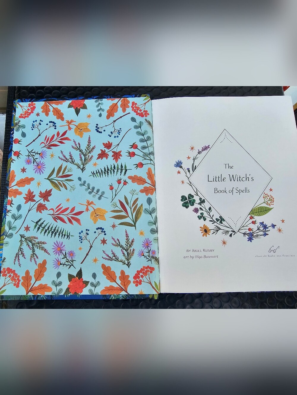 The Little Witch's Book Of Spells - Picture 3 of 4